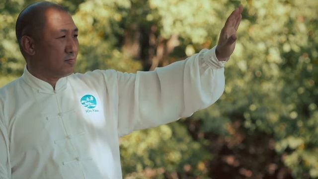 Специалисты традиционной китайской медицины на природе смотреть онлайн