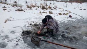 Моем беса (личинка Поденки)!