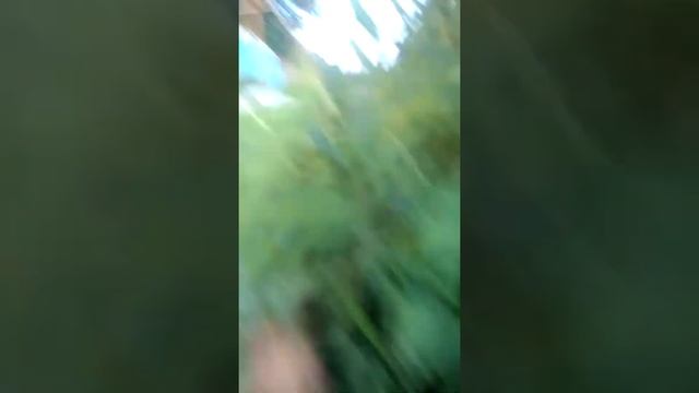 украл тапочек у бомжа и били по его дому! смотреть онлайн