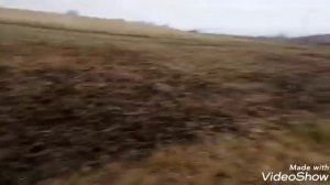 Мотоблок Скаут. Заключительная фрезеровка целины 2019.