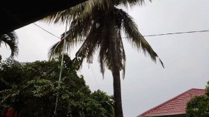 Super typhoon #KardingPH Live Signal #4 in Laguna