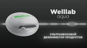 Ультразвуковой дезинфектор продуктов Welllab AQUA от Гринвей💦