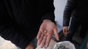 Узбекистан!!! Базар Чорсу | Наманган