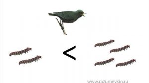 Знаки больше или меньше