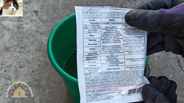 Как бороться с черной тлей на вишне
