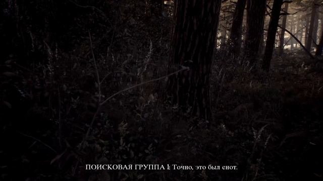 ВЕДЬМА ИЗ БЛЭР№1 НОВАЯ ГЛАВА Blair Witch#1 GAME MOVE