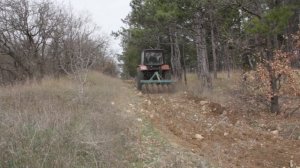 Минерализованные полосы в лесу.4.4.2023