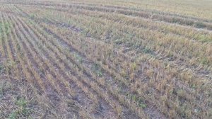 НАШЛИ РАСПАШКУ...Поиск монет с металлоискателем.Крутые находки