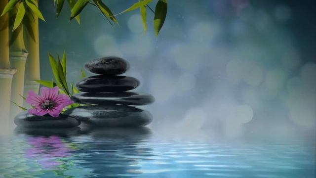 ?Раскройте свой внутренний покой: личное путешествие по домашнему очищению и поиску поддержки смотреть онлайн