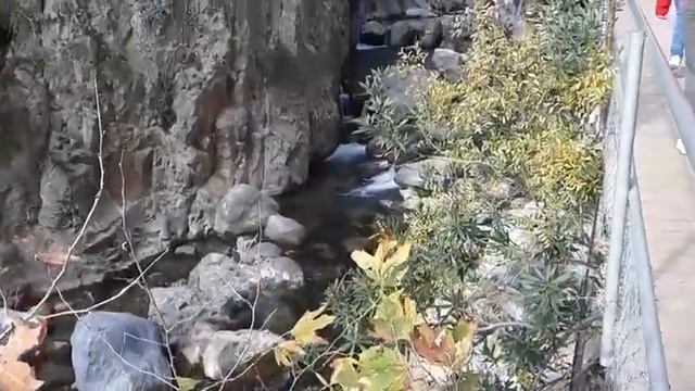 Прекрасное утро, красивый день и вкусный вечер. Спасибо за эти эмоции @SeverGirls смотреть онлайн