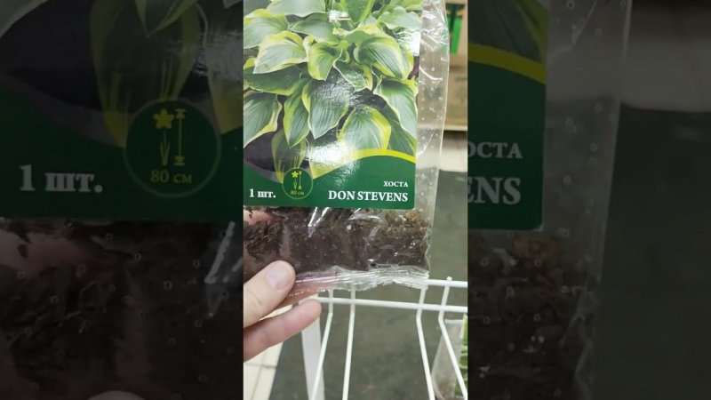 Хосты в Фикс Прайсе