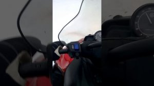 Yamaha Viking Professional speed