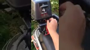 Работа мотора Sea Pro T4S