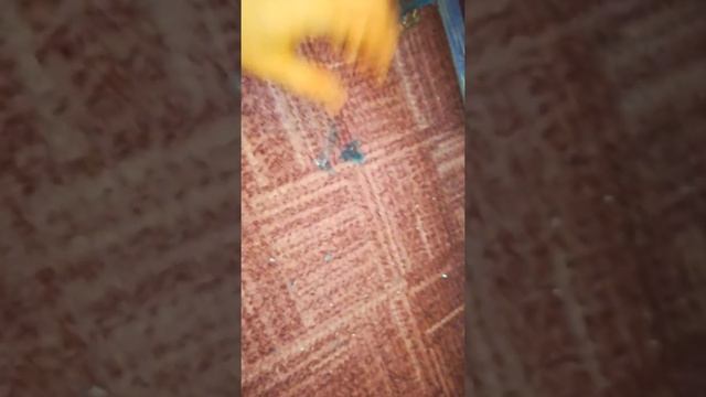 Remove glass fragments from the carpet without a trace /Как убрать осколки с ковра без пылесоса смотреть онлайн