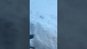 Мотоблок МТЗ. Прогорела прокладка ГБЦ.