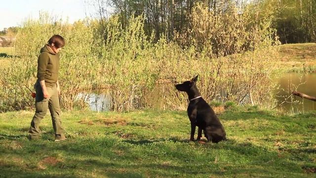 Разминка + комплекс смотреть онлайн