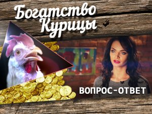 Богатство Курицы: Катя отвечает на вопросы