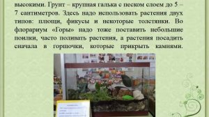 Опыт работы Развитие познавательно   исследовательской деятельности дошкольников через ознакомление