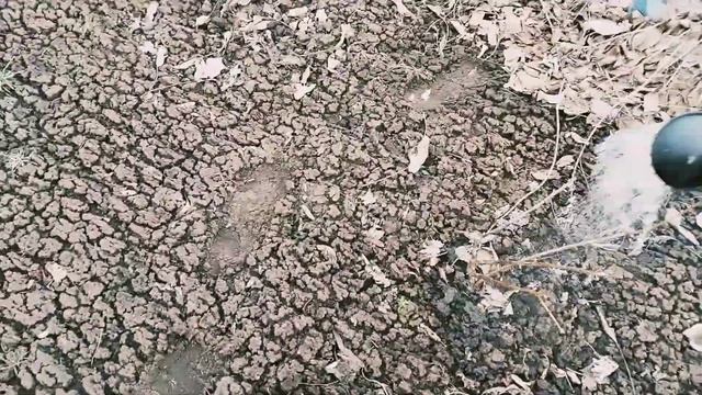 Весна.Обработка малины .Первые работы на дачном участке . смотреть онлайн