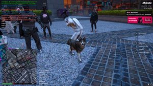 Мой 91957 Нарушитель 39278 и 84559 20.01 02.09.2024