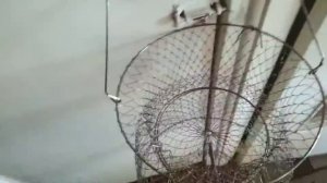 Садок для рыбалки, металлический. Обзор