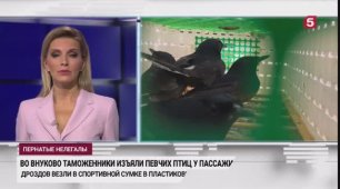 Телеканал «Пятый», программа «Новости», 23.06.2022