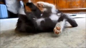 Асмолов. Дефицит общения.