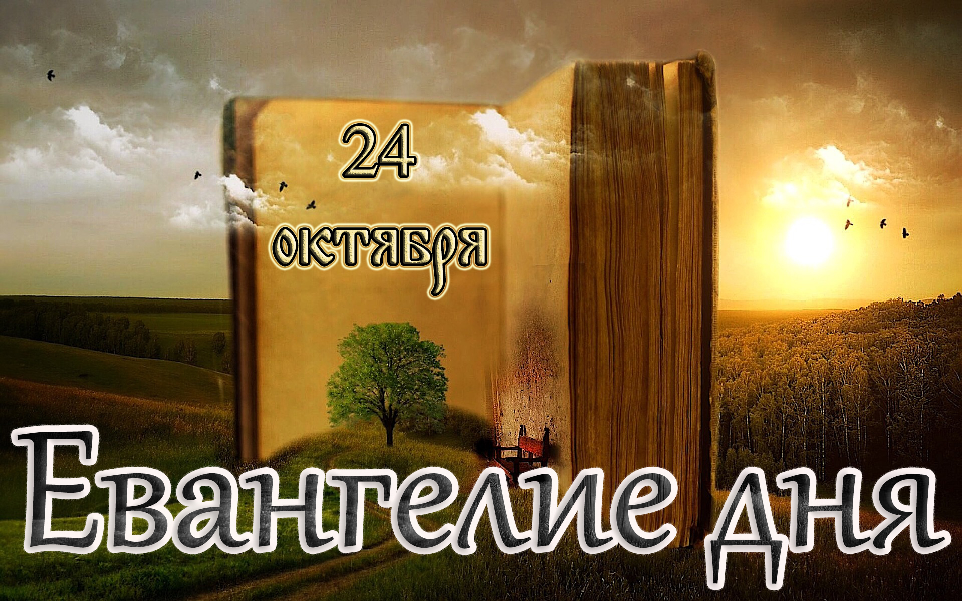 Евангелие и Святые дня. Апостол. Собор всех святых, в Оптиной пустыни просиявших. (24.10.23)