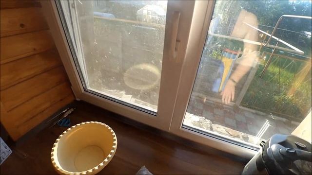 VLOG Весёлый хаски \ Готовим вкусный ужин Alena'sDays смотреть онлайн