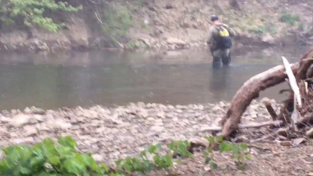 Голавль Горных Рек Кубани. смотреть онлайн