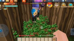 КТО ВЫЖИВЕТ В КОМНАТЕ С РОСТАКАМИ?! Скай блок блокмен го