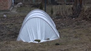 Парник огурчик. Туннельный парник