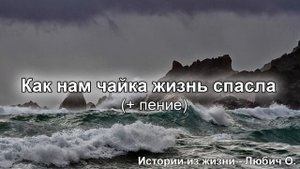 Как мне чайка жизнь спасла (+пение). Любич Олег. Истории из жизни. МСЦ ЕХБ