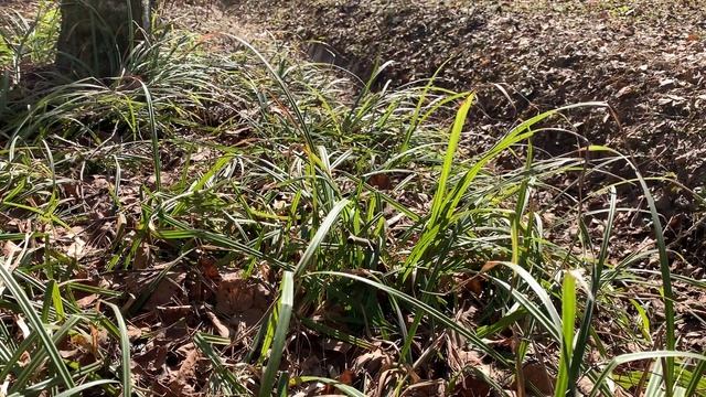 ВЯЗАЛЬНЫЙ ВЛОГ № 8 " Необычная новая игрушка" смотреть онлайн