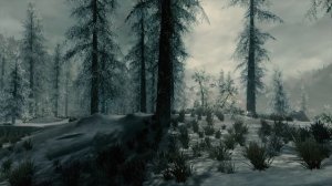 Skyrim - Tundra Ambiance (music, soft rain, wind)