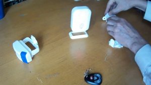 Походная сигнализация