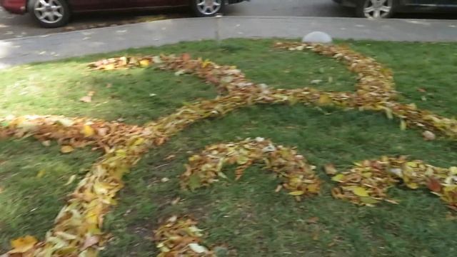 Осеннее Солнышко из листьев от Минского Дворника. ???? смотреть онлайн