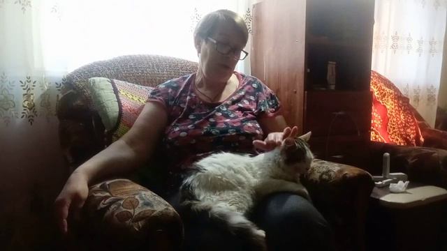 Хороша погодка.Лечу кота 🐱 смотреть онлайн