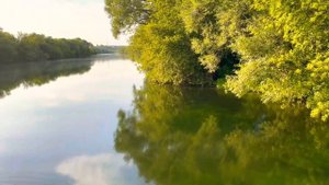 «Любо мне, когда Дон разливается» Липецкая область