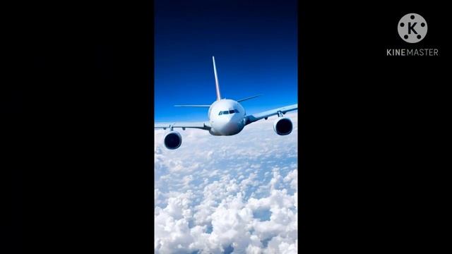 Эстетика моей будущей профессии (гача лайф\\меме) смотреть онлайн