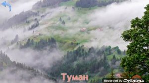 Карточки Домана Часть 13 Явления природы!