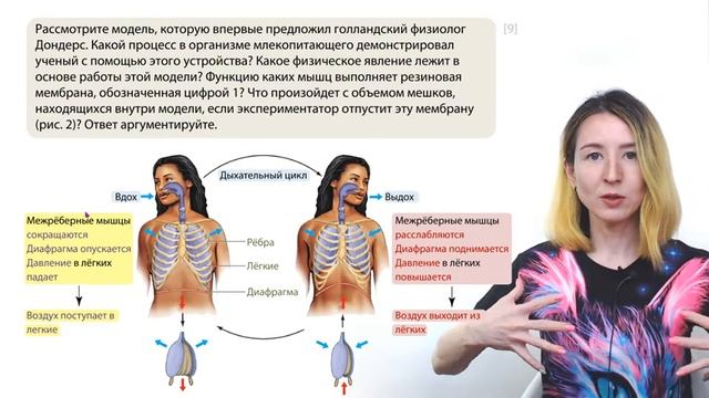 Задание с рисунком | Задание 25 | Геохронологическая таблица | ЕГЭ-2024 по биологии смотреть онлайн