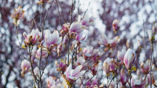 Релакс романтика смотреть онлайн