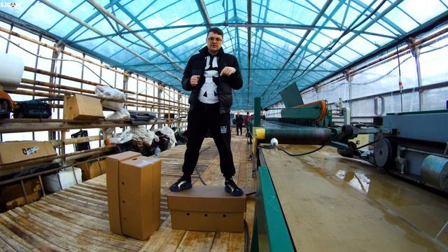 Обзор коробок для тюльпанов. Выгонка 3 млн тюльпанов. Тюльпаны оптом к 8 марта. Бизнес на тюльпанах