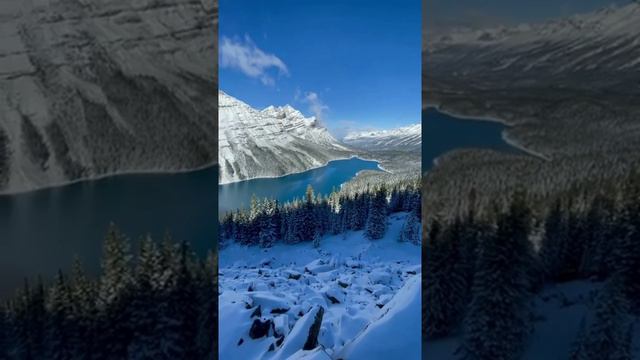 📍 Озеро Пейто, Канада 🇨🇦 Peyto Lake, Canada