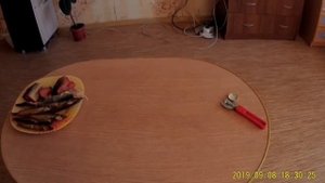 Дигустация тёмного бархотного эля "своя кружка"