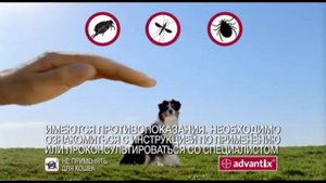 Реклама Адвантикса: Cредство для собак от клещей и блох