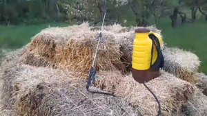 СОЛОМА,КАК МУЛЬЧА! ПРИМЕНЯЕМ ПРАВИЛЬНО.
