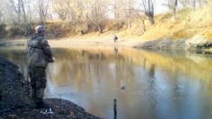 Рыбалка на Оби в Новосибирске. Октябрь. Золотая осень! Рыбалка на карася и плотву.