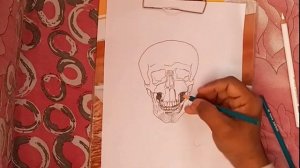 Scary Skull Sketch Drawing || Pencil Art || 2023